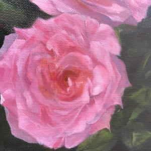 Roses in the Shadow by Valeria Carballo
