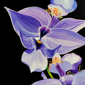 Abundance by Lindsey Kiser