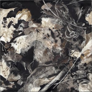 In Our Midst by Lindsey Kiser