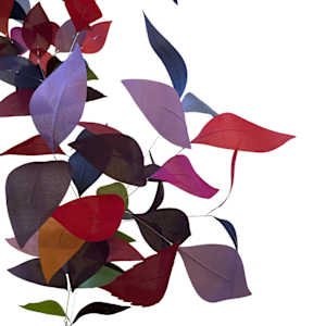 Vine and Leaf Cluster with Gradation by Jan R Carson, Image 3.