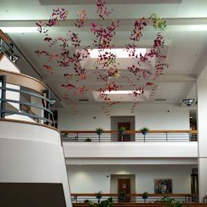 Growth & Blooming by Jan R Carson 