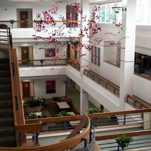 Growth & Blooming by Jan R Carson 