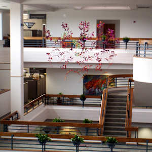 Growth & Blooming by Jan R Carson 