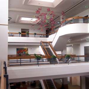 Growth & Blooming by Jan R Carson 