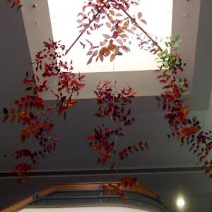 Growth & Blooming by Jan R Carson 