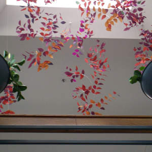 Growth & Blooming by Jan R Carson 