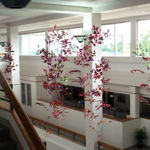 Growth & Blooming by Jan R Carson