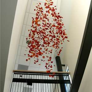 Red Maple Vertical by Jan R Carson, Image 1.