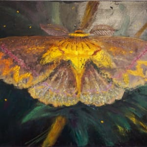 Night Moth by Elena