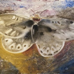 Winter Moth by Elena