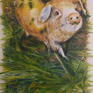 Alderney Pig - Babe by michelle