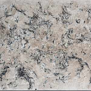 A Wild Cat Settled in My Eye by Christina McPhee