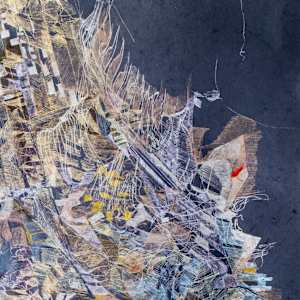 Mycelia Voyager 2 by Christina McPhee  Image: detail, Mycelia Voyager 2
