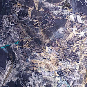 Mycelia Voyager 4 by Christina McPhee  Image: Detail, Mycelia Voyager 4
