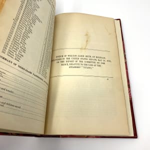 US Senate Report 