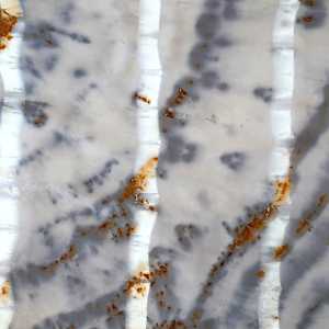 Tree Rings Scarf by Paige St-Pierre