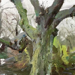 Knotlindes bij Ewsum by Anna Maria Vargiu