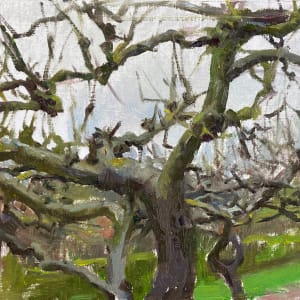 Appelbomen bij Oudendijk, Warffum by Anna Maria Vargiu