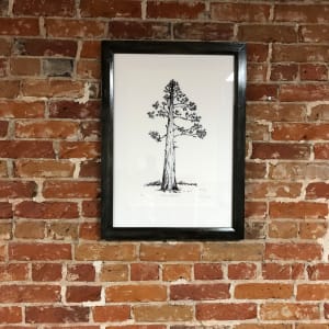 Flagstaff Ponderosa Tree by CORCORAN  Image: The Limited edition print on the wall at 8Z Realty on Main St.