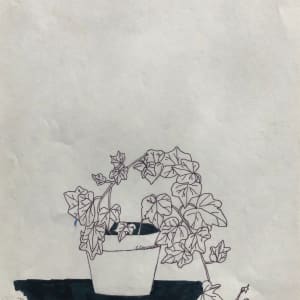 Ivy pot by CORCORAN