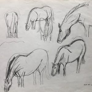 Horse sketches in the pasture by CORCORAN