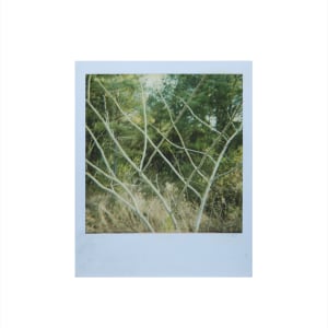 Fragments #1 by CORCORAN  Image: The polaroid photo for the print.