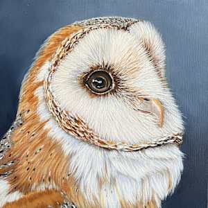 Gilly Wise the Barn Owl by Kendra Stone