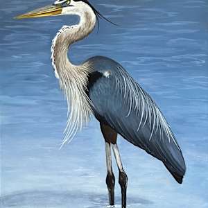 Heron in the Shallows by Kendra Stone