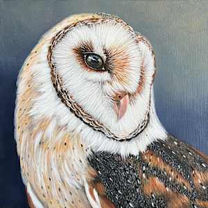 Maggie Howlett the Barn Owl by Kendra Stone