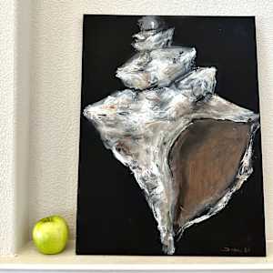 Conch Shell by Sara Nygard Haetonen