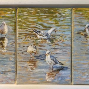 Seagull Reflections by Debbie  Farquharson  Image: Original of Seagull Reflections 