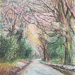 Snowy Trees at dusk along St Julian's Road by Debbie  Farquharson