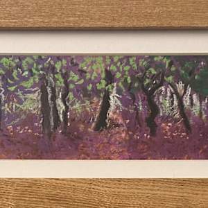 Knole Park Forest by Debbie  Farquharson 