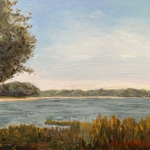 The Bay by Elizabeth Ryan Swartz
