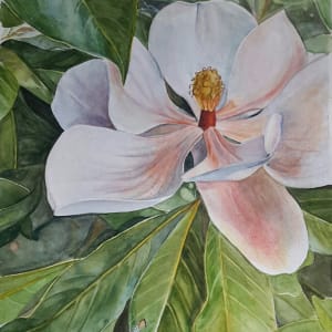 Magnolia Blossom by Laura Mandile