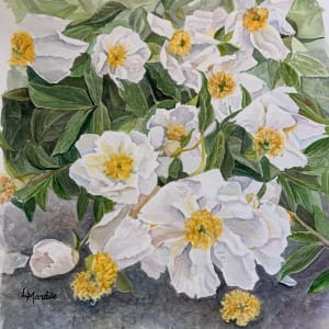 White Peonies by Laura Mandile