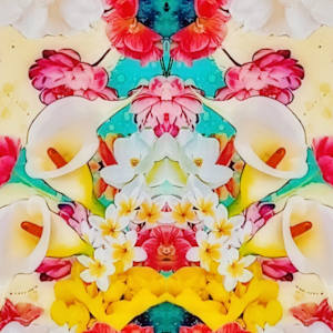 Nicole’s Eden by Cristina Sayers  Image: Double image example. 