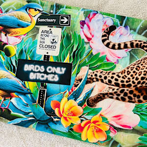 Birds Only by Cristina Sayers 