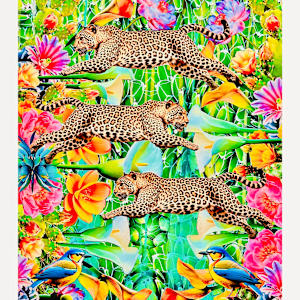 Jungle Boogie by Cristina Sayers 