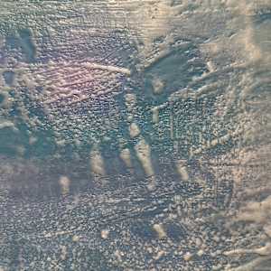 Aphrodite, sea goddess by Saltwater Fine Art | Susan J Roche, artist 