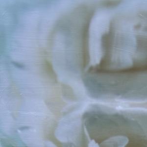 Jean, Veiled in Light by Saltwater Fine Art | Susan J Roche, artist 