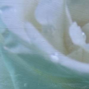 Jean, Veiled in Light by Saltwater Fine Art | Susan J Roche, artist 