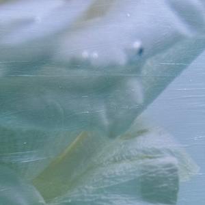 Jean, Veiled in Light by Saltwater Fine Art | Susan J Roche, artist 