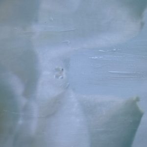 Jean, Veiled in Light by Saltwater Fine Art | Susan J Roche, artist 