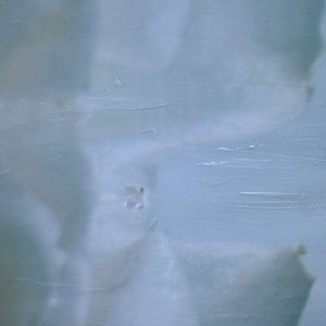 Jean, Veiled in Light by Saltwater Fine Art | Susan J Roche, artist 