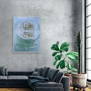 Jean, Veiled in Light by Saltwater Fine Art | Susan J Roche, artist 