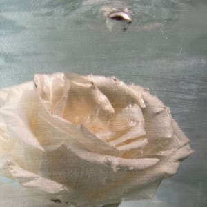 jean by Saltwater Fine Art | Susan J Roche, artist, Image 2.