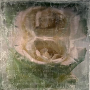 rose by Saltwater Fine Art | Susan J Roche, artist