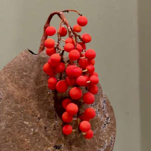 Red Berries by Charles H. Stinson 