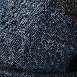 Blue Jean by Charles H. Stinson 